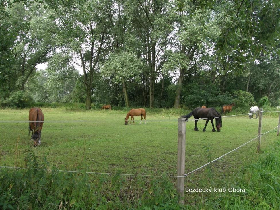 Homestay ปอดเยบราดิ ภายนอก รูปภาพ
