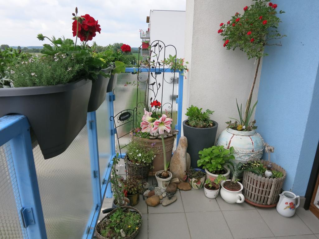 Homestay ปอดเยบราดิ ภายนอก รูปภาพ